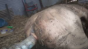 dirt - Dirty porn videos | free â¤ï¸ vids | Tiava