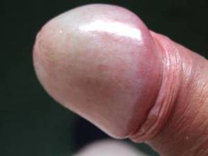 Glans - I would love to tease my glans into a young tight pussy