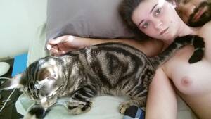 cat - Cat decided to wake me up... Porn Pic - EPORNER