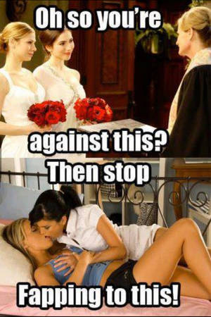 Funny Lesbian Porn - Gay Rights..anyone that can jack off to lesbian porn better keep their mouth