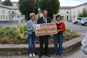 Jorja Fox Lesbian Porn - Label \