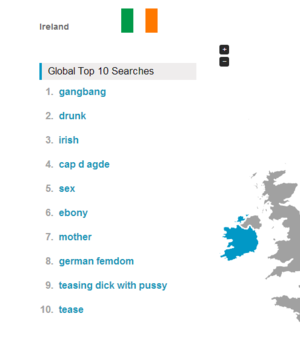 Irish Porn Sites - Drunk' and 'Irish': what Ireland is searching for on porn sites