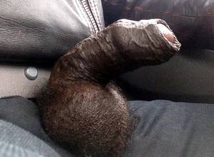 huge black dick and balls - 