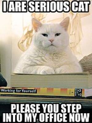 Megan Fox Monster Porn Captions - List of Internet phenomena - Wikipedia