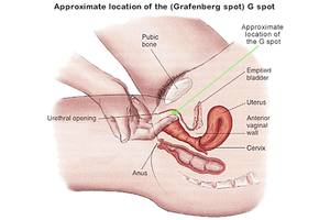g spot best position - 6 Best Sex Positions To Hit The G Spot