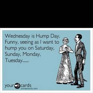 Adult Hump Day Fuck - Happy Hump Day!