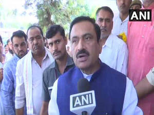 Mp Porn - Porn to blame for rape, says MP home minister