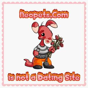 Neopets Sex Porn - PSA! : r/neopets