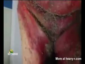 Gunge Porn Humiliation Embarrassed - Fat Woman Covered In Maggots