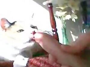 Cat Bestiality Porn - Cat Bj Bestiality