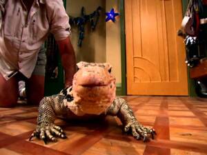 Disney Jessie Kipling Porn - Mr. Kipling - Behind the Scenes - JESSIE - Disney Channel - YouTube