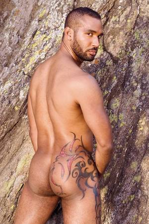 Lasalle Porn - Marc LaSalle Raging Stallion