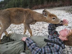Deer Having Sex - Man having sex with deer Â· Waht causes abnormally small sperm heads