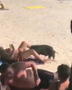 beach nude wife on vacation - Treasure hunt on the beach : r/funny