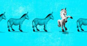 Amber Kentucky Porn First Time - 2018 Elections