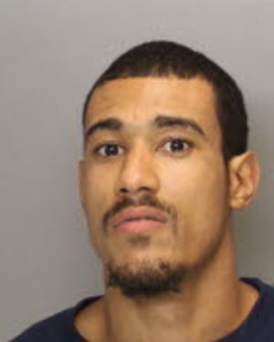 Ar Fox Porn Star - Porn Star Mugshots! | 18+ | | NSFW |: AR Fox