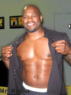 90s Male Porn Star Straight Ponytail - Pictures showing for 90s Male Porn Star Straight Ponytail -  www.mypornarchive.net