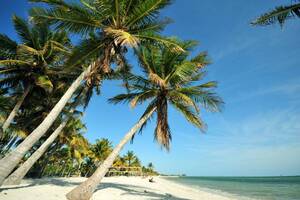 naked sunbathing beach house florida - Gay Key West - Gay Guide to the Florida Keys, Bars, clubs, hotels.