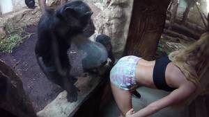 Chimpanzee Sex - Faith cunt porn