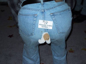 Gay Gerbil Porn - My kids each got a hamster for Christmas.