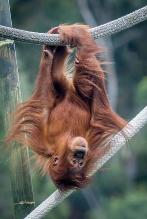 Canada Porn Punk Pixie - â€œIf you look the right way, you can see that the whole world is