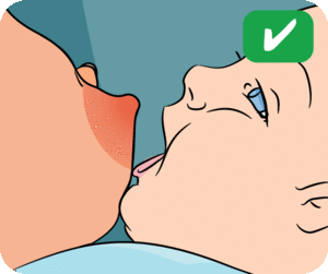 Breastfeeding Porn Gif Tiny Tit Mom - How to breastfeed: in pictures | Raising Children Network