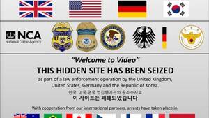 Just Toddler Deep Web - Dark web child porn bust leads to 338 arrests worldwide