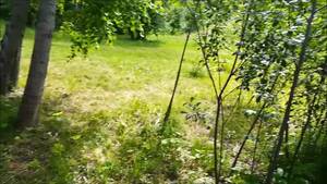 Blowjob Threesome Public - Free Public Threesome at the Ð¡ity Park: Stranger Joined a Blowjob Porn  Video HD