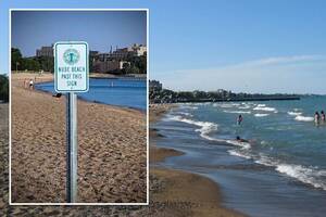 girls at nude beach sex video - Prankster plants fake nudist beach sign at popular Chicago park