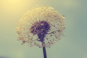 girls masturbation in panties - Female Wet Dreams: Islamic Perspectives & Regulations - MuslimMatters.org