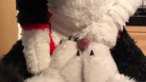 Cosplay Furry Porn Foot Job - Wolf fursuit footjob part 2 (cum) - ThisVid.com