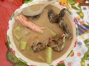nasty asian food porn - iguana soup... Would you dare to taste it? It tastes like chicken Â· Gross  FoodScary ...