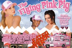 Adult Food Porn - Seriously, we've heard of food porn and all, but this is ridiculous: actor  Ron Jeremy is going to star (link NSFW) in an adult film called The Flying  Pink ...