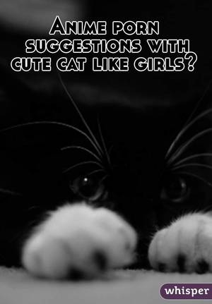 Cat Anime Porn - Anime porn suggestions with cute cat like girls?