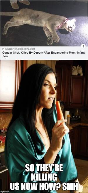 Milf Memes - Headlines india summer milf cougar porn beautiful pretty sexy silk Memes &  GIFs - Imgflip