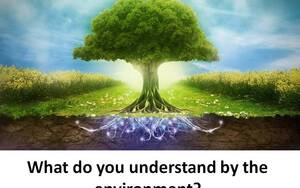 Kendra Wilkinson Porn Xvideos - What do you understand by the environment? ~ All e Knowledge