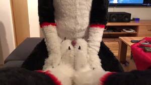 furry footjob porn - Wolf fursuit footjob - ThisVid.com