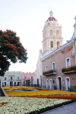 Alyson Hannigan Porn Fabiana Tambosi - 6-arriving in Atlisco â€“ Italian Bonsai Dream â€“ Mauro Stemberger