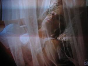 Mosquito Net Porn - The ...