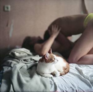 Cat Porn - Cat Â· cat porn