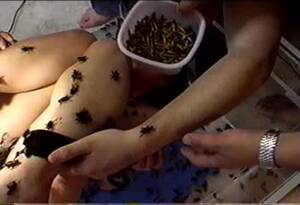 Japanese Worm Porn - Buggy Fucks: Japanese Girl with crickets andâ€¦ ThisVid.com