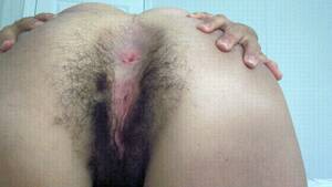 bbw hairy anal - Bbw Spread Hairy Ass Porn GIFs | Pornhub