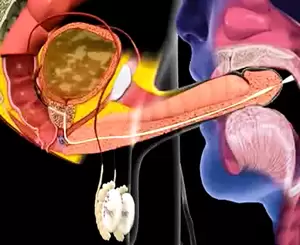 Anime Porn Cumming In Mouth - Cum in mouth animation | xHamster