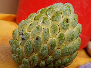 Barbados Sugar Porn - When las have you eaten a Sugar Apple? If you heart emoticon our culture,  beaches, people and our island, then become a fan of Beautiful Barbados