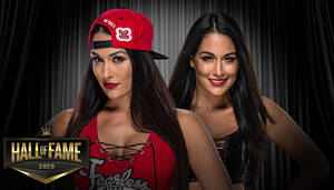 bella twins anal sex - Bella Twins Explain Their Issues With Lack of Female Presence On Raw XXX |  411MANIA