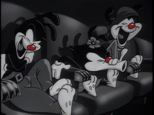 Animaniacs Woodstock Porn - SATURDAY MORNINGS FOREVER: ANIMANIACS (1993)