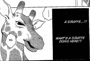 Giraffe Hentai Porn - Afterschool Nightmare isn't going to be one of my all-time favorites, but  it does have that special something that keeps it on my mind, even if I'm  not ...