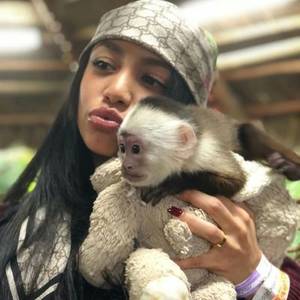 Girl Lets Monkey Fuck Her - Porn Monkey ðŸµ