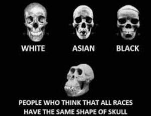 asian skull fuck - Guess please use the correct skulls : r/dankmemes