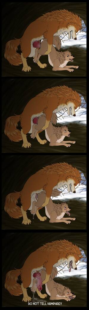 Humphrey Alpha And Omega Furry Porn - Furry 34 com / alpha and omega, garth, kate (alpha and omega), dorosheva-e,  canid